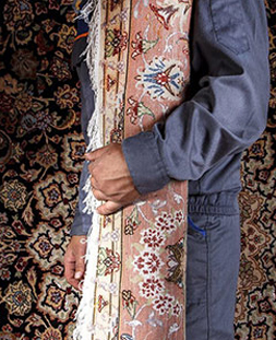 قالی لول در قالیشویی کوی کارمندان کرج